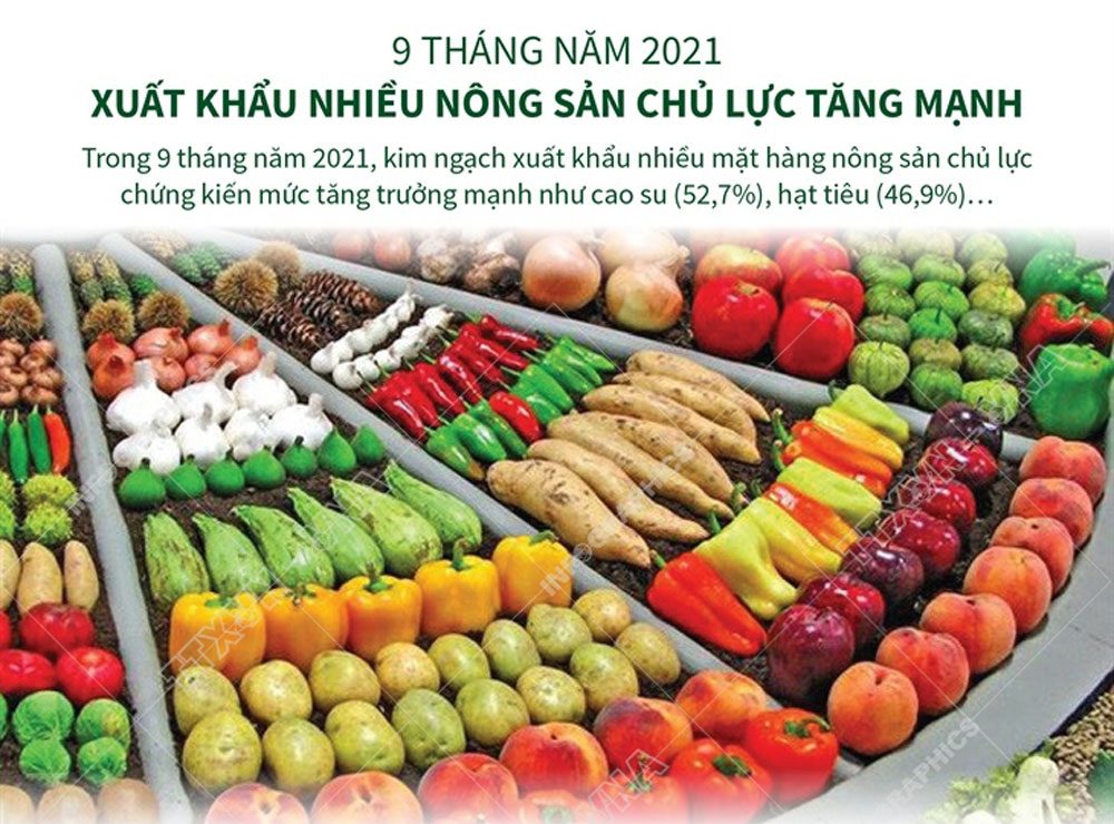 Số liệu xuất khẩu một số các mặt nông sản tăng mạnh