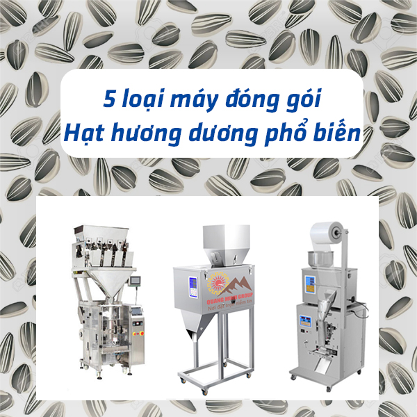 Các loại máy đóng gói hạt hướng dương giá từ thấp đến cao