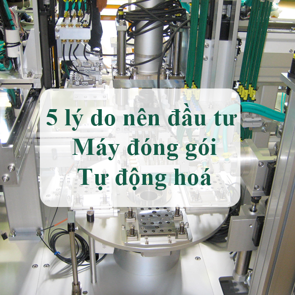 5 lý do nên đầu tư máy đóng gói tự động cho doanh nghiệp của bạn