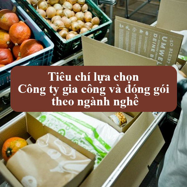 Danh sách Công ty và tiêu chí lựa chọn công ty gia công đóng gói Uy Tín