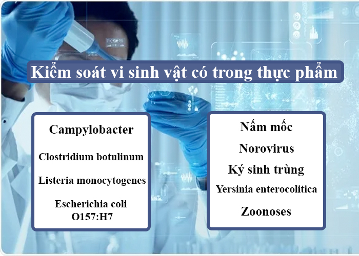 Kiểm soát vi sinh vật có trong kiểm soát chất lượng thực phẩm