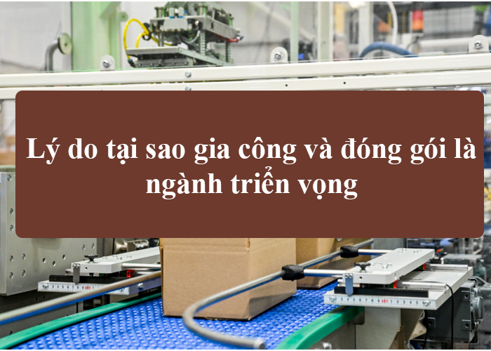Lý do tại sao gia công và đóng gói là một ngành triển vọng