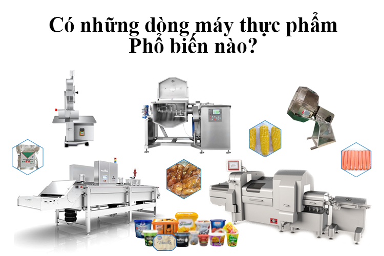 Có những dòng máy thực phẩm nào phổ biến ở Việt Nam