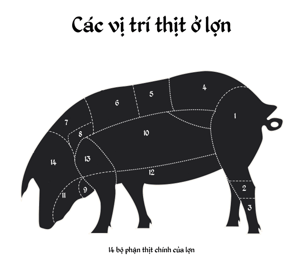 14 vị trí thịt cần lưu ý trong quy trình giết mổ lợn công nghiệp cần biết