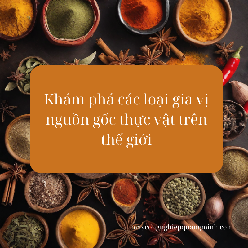 Khám phá các loại gia vị nguồn gốc thực vật trên thế giới